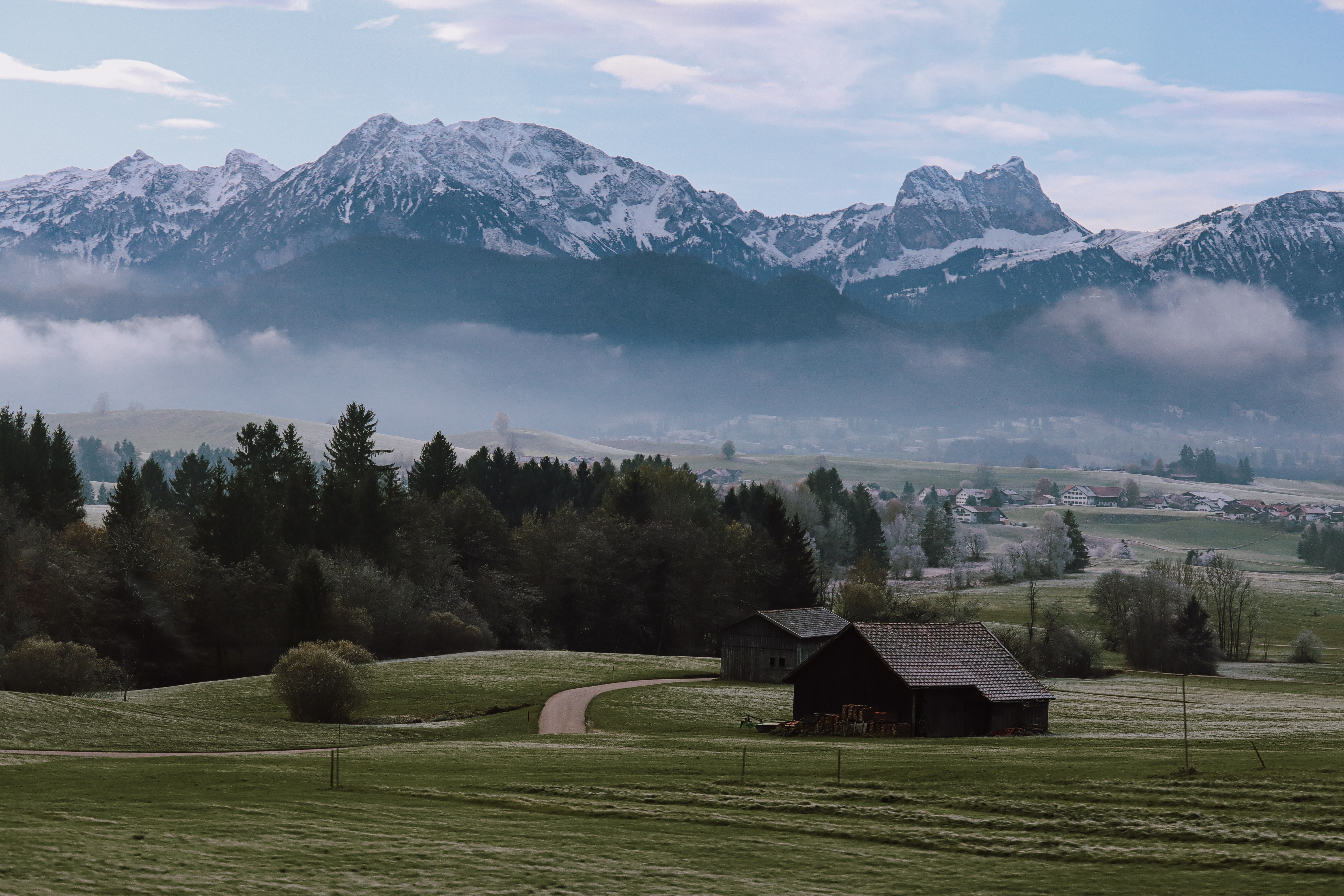 zugspitze, edelweiss, renzos